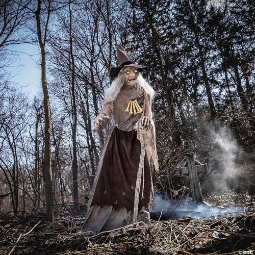 Generic Animated Crone Witch Prop Multicolor