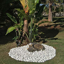 Caribbean Beach Pebbles