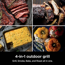 Ninja Woodfire Outdoor Grill & Smoker, 3-in-1 BBQ, Bake & Roast, OG301