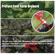 Oracra Ultra Fine Mesh Pond Netting for Koi Ponds, Reusable Garden Bird Netting Plant Cover, 3/6/ 8/10/ 15/20/ 25 m Nylon Anti-Fall Mesh Fence Protect(30x10m/98x33ft)