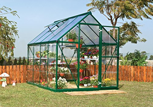 Palram Canopia Hybrid Greenhouse 6' x 8' Forest Green