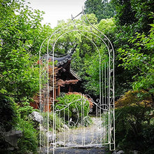 Metal Garden Arbors Wedding Arch with Door,Garden Arch/Rose Arch,for Roses, Climbers, Fruit, Archway or Peas,White