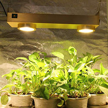 5sssallefaa Dimmable 200W COB LED Grow Light Full Spectrum with Timer for Indoor Greenhouse Plants Flowers All Stage Grow