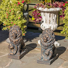 Zaer Ltd. Magnesium Pair of Lion Statues (Outdoor Safe) (21" Tall w/Shield (Set of 2), Aged Bronze (Painted))