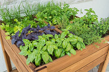Tierra Garden Square Four Section Raised Bed with Shelf 32" W x 32" L x 9.5" Deep, Overal Height 35"