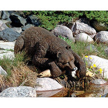 Design Toscano Catch of the Day Grand Bear Sculpture