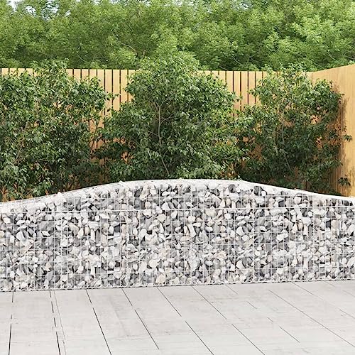 Arched Gabion Baskets 2 pcs Galvanized Iron for Outdoor & Indoor Plants White Black