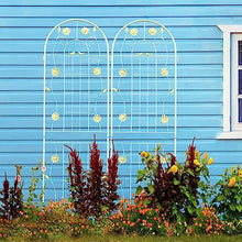 Decorative Metal Garden Trellis for Climbing Plants, Rustproof Flower Support with Bird,Leaves,Flowers,for Ivy,Rose,Morning Glory,Jasmine,Grape,Blackberry,Cucumber,Beans,Peas (Cream White,4)