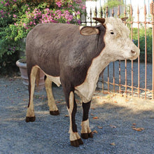 Design Toscano Grand-Scale Hereford Steer Statue Painted