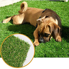 Griclner Artificial Grass Lawn Turf 0.8inch Green 14FTx74FT for Indoor Outdoor Use