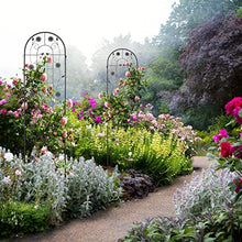 Relaxdays Garden Trellis, Set of 2, HxW 200 x 50 cm, Metal, Support for Climbing Plants, Ground Stake, Rose Frame, Black