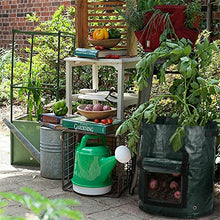 Potato Growth Bag Vegetable Onion Cultivation Fabric Bags Garden Seedling Growing Bag Farm Garden Tool (Color : Green Size : 7 Gallon) (Green 10 Gallon)