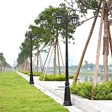 iumLeap 200Cm Black Garden Lamp Post Light Outdoor Pillar Lamp 2-Head Exterior Pole Light Glass Lantern Bollard Path Lamp Waterproof Ip65 Street Light Mains Powered Pathlight