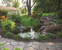 Aquascape DIY Ecosystem Backyard Pond Kit 8ft x 11ft Black