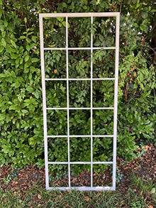 Classic Metal Garden Trellis, White, with 12" Ground Stake, Plant Trellis, All Aluminum, Handmade, 65" x 27", Garden Decor