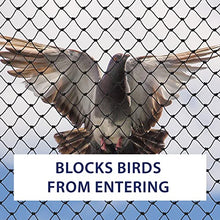 Bird-X Heavy-Duty Netting 50ft x 100ft Black