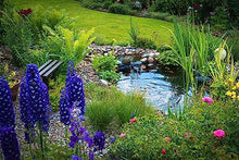 HALF OFF PONDS Complete PRO 5200 Water Garden and Pond Kit with PVC Liner Black