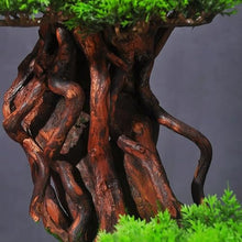 QWERAXZG Pine Bonsai Sales Office Hotel Landscape Green Plant Fake Tree Landscaping Pieces