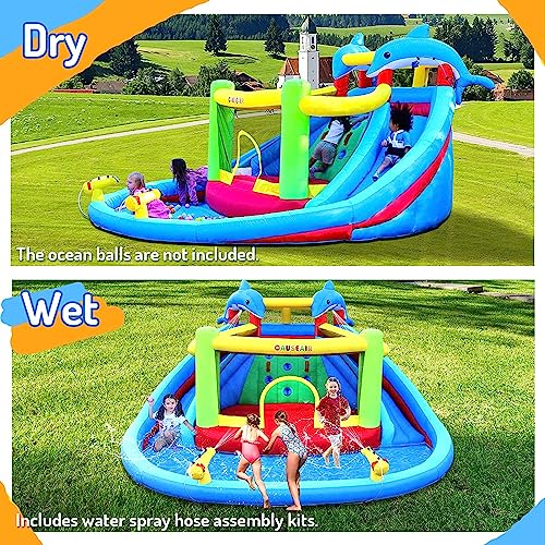 Causeair Inflatable Water Slide & Bounce House with Dolphin Styling Multi