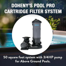 Doheny's Pool Pro Cartridge Filter System, 50 Sq. Ft.