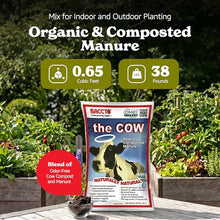 Michigan Peat Baccto 1640 Wholly Cow Horticultural Compost and Manure for Soil Amendment, Lawn Care, Garden Beds, and More, 40 Quart Bag (10 Pack)