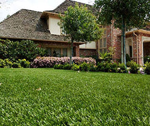 StarPro Greens SPG-70 1.5" Tall Centipede Southwest Artificial Grass Turf with Ultra-Flo $2.77/sq.ft. (Pick Size Below) (7 ft. x 15 ft. = 105 sq. ft.)