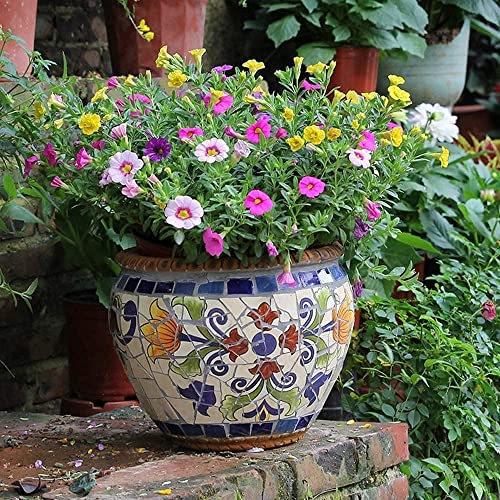FAFACAI Creative Characteristic Mexico Color Ceramics Large Flower Pot Outdoor Plant Pot Villa Patio Process Container Outdoor Garden for Villa Corridor Aisle Colorful Planter Garden (51 * 39cm)