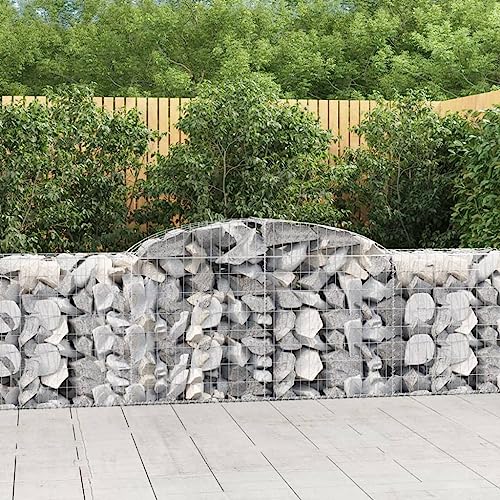 Arched Gabion Baskets 5 pcs Galvanized Iron for Outdoor Plants White Black