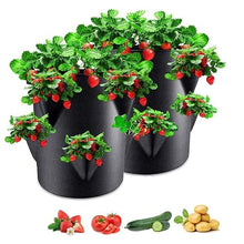 6/9 Gallons Felt Grow Bags for Plants Felt 8pokets Plant Seedling Bag Strawberry Potato Round Bucket Balconies Garden Flower Pot (Color : B) (B)