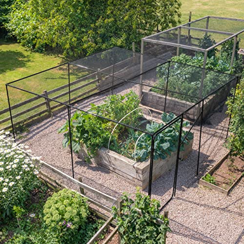 Harrier Fruit & Vegetable Cage - Walk-in Garden Domes | Anti-Bird Cage & Netting (2m x 8m, 2X Door Kits)