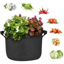 Non-Woven Vegetable Planting Grow Bag with Handle Garden Flower Potato Pot Container Bag 5/7/10 Gallon (Size : 10 Gallon 40x30cm) (10 Gallon 40x30cm)