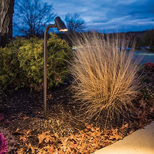 WAC Landscape Lighting, Accent Stem LED 12V Path and Area Single Light 3000K Warm White Built-in LED in Bronze