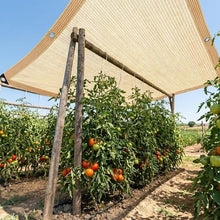 25 x 40 ft Beige Shade Cloth,UV Resistant Durable Mesh Tarp with Grommets