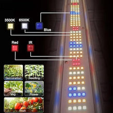 DREAM SPACE 1200W LED Grow Light 4x6ft with UV IR Dimmable & Foldable