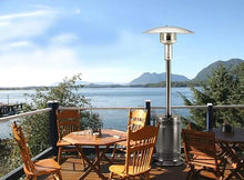90 Inch Portable Liquid Propane Patio Heater-Antique Bronze Finish