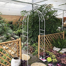 Garden Arch Trellis Archway, Outdoor Garden Lawn Backyard Patio Metal Stand Trellis for Climbing Plants Roses Vines Support Rack, Black (Big White)