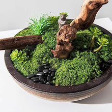 Artificial Bonsai Tree Simulazione Cinese Piante Verdi Di Muschio Decorazioni in Vaso Per Interni Soggiorno Studio Decorazioni Per Ufficio Office Decoration Bonsai