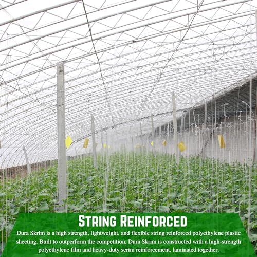 Farm Plastic Supply String Reinforced 10 Mil Clear Greenhouse Plastic Sheeting 42' x 75' Clear