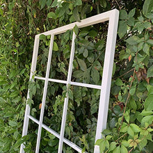 Classic Metal Garden Trellis, Wall Mounted, Plant Trellis, All Aluminum, White Powder Coated, Handmade, 65" x 27", Garden Decor, Yard Art
