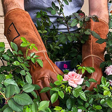 ArtAK Bulk 88 Pairs Rose Pruning Gloves Brown