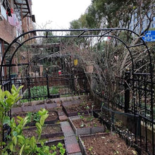 Metal Wedding Arch Heavy Duty Arched Flower Stand with Galvanized Steel Base Ideal for Weddings & Garden Decor(W250xH240cm/98x94in)