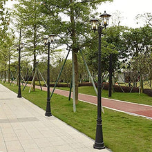iumLeap 114Inch Outdoor Lamp Post Light Afence Bollard Path Lamp 2-Head Path Pillar Lamp Waterproof Ip65 Street Light Garden Exterior Pillar Post Light Glass Lantern Pole Lig(114inch)