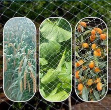Oracra 1cm Wide Garden Netting Bird Barrier, 3/5/ 7/10/ 15/20/ 25/30 /35 M Heavy Duty Vegetable Netting Garden Trellis, Plant Fence for Grape Vine(30x15m/98x49ft)