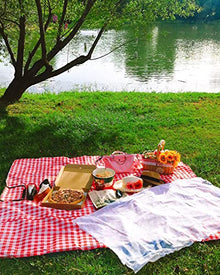 Country Style Wicker Picnic Basket Hamper with Lid and Handle Liners for Picnics Parties and Bbqspicnic Basket