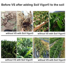 Soil Vigor Water-Wise Gardening Potassium Super Absorbent Polymer 20 Pounds White