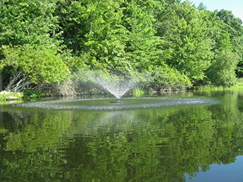 Fawn Lake Fountains Model SF50 1/2 HP Pond Fountain with 7 Patterns, 100ft Cord