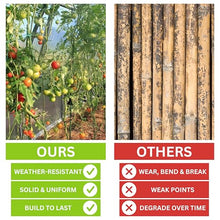 6 Ft Fiberglass Eco Friendly Garden Stakes 100 Pack (Height/Quantity Options) – Durable, Lightweight, Tomato, Tree, Strawberry, Plant, Support Fencing Stakes with Patterned Surface, Green (100, 6 Ft)