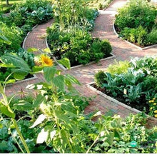Amending Plants Soil with Super Absorbent Polymers (20 pounds)