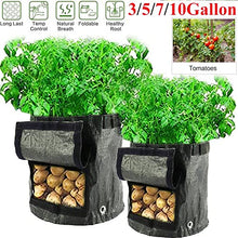 Plant Grow Bags Home Garden Potato Pot Greenhouse Vegetable Growing Bags Moisturizing Jardin Vertical Garden Bag Seedling (Size : 7 US Gallon 30x35CM) (10 US Gallon 34x45CM)
