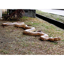 Design Toscano Giant Burmese Python Snake Statue Full Color